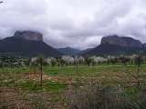 sizilien-mallorca 183